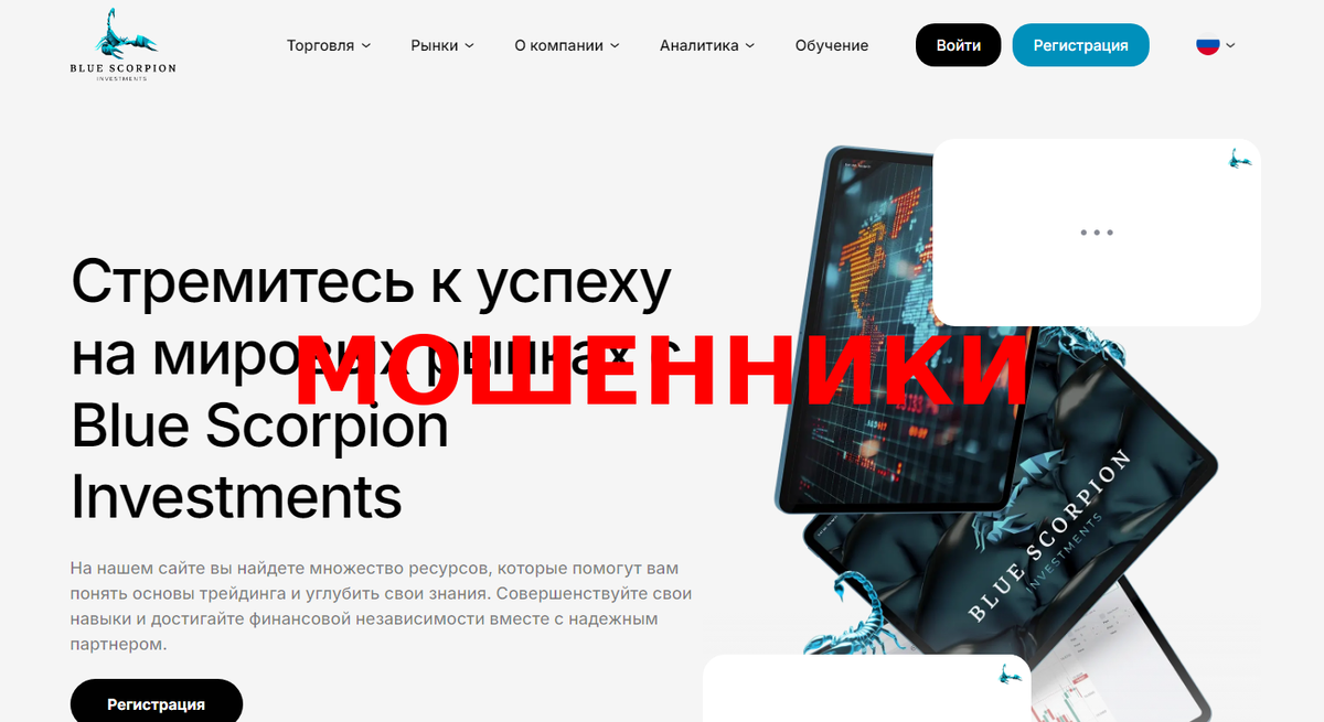 Обзор брокера-мошенника Blue Scorpion Investments: как потерять деньги на bluescorpion.pro
