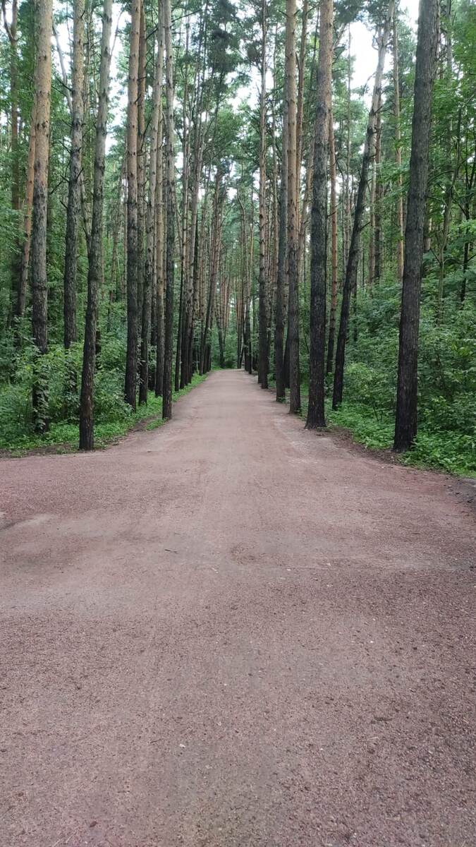 Фото автора с первой пробежке в 2024