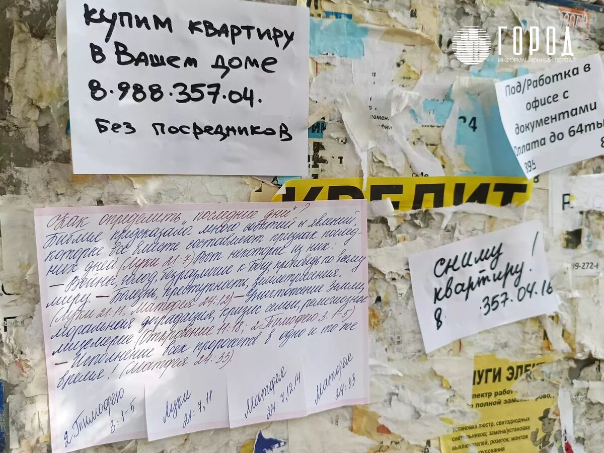 Фото: новости Краснодара "Город". 
