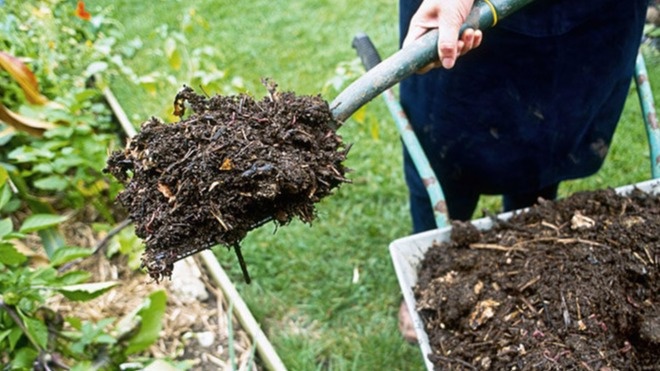 Компостирование – лучший способ переработки растительных остатков