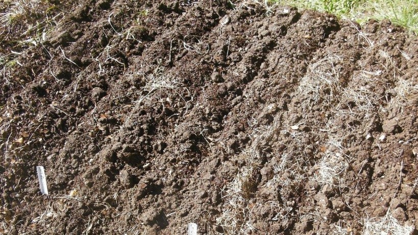 Хорошо подготовленная грядка - залог успеха при выращивании подзимней моркови.