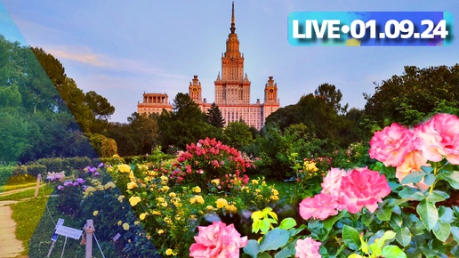 Скачать видео: Москва: Ботанический сад при МГУ и День знаний - стрим прогулка