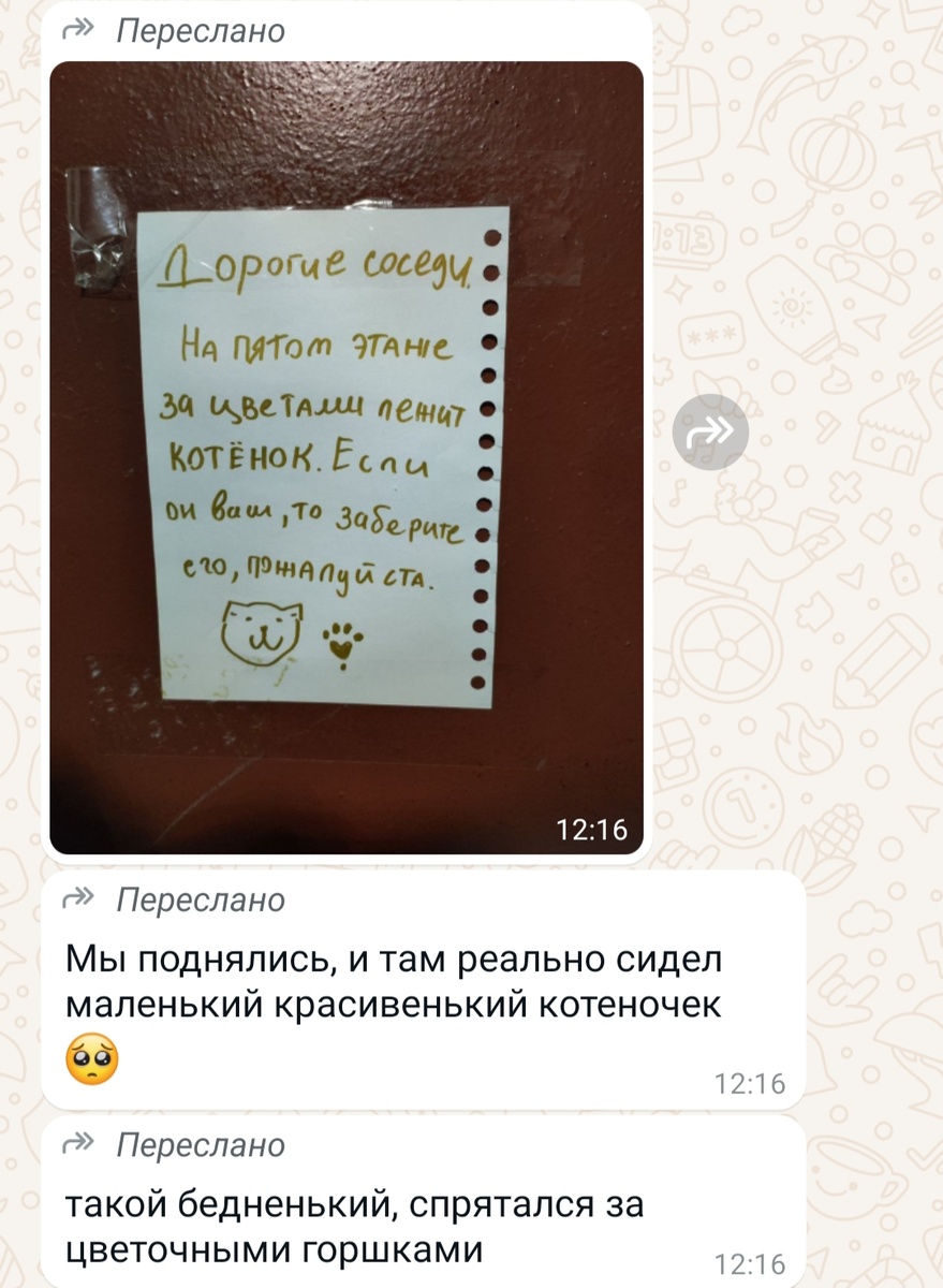 ЧТОБ ВЫ ПОНИМАЛИ, МЕСТО ДЕЙСТВИЯ - ПОДЪЕЗД В ДОМЕ, ГДЕ ЖИВЁТ РАФАЭЛЬ.