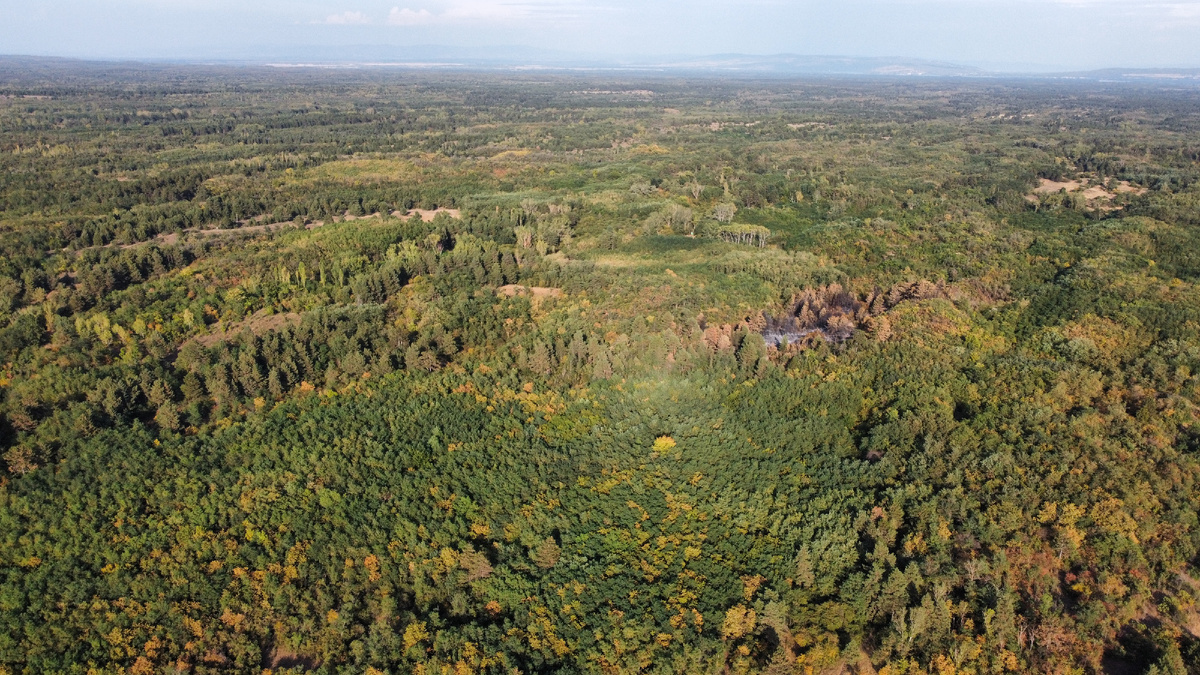 Делибатские пески. Вид с воздуха.