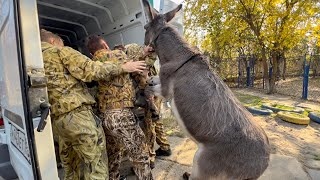 Мы в ХЕРСОНЕ! Канонада совсем близко, нужно уезжать!