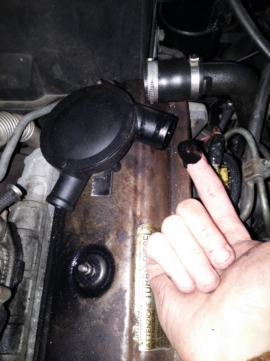 Масло в сапуне. 