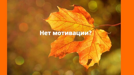 Что делать когда нет мотивации? Не тратьте время на бесполезные советы психологов