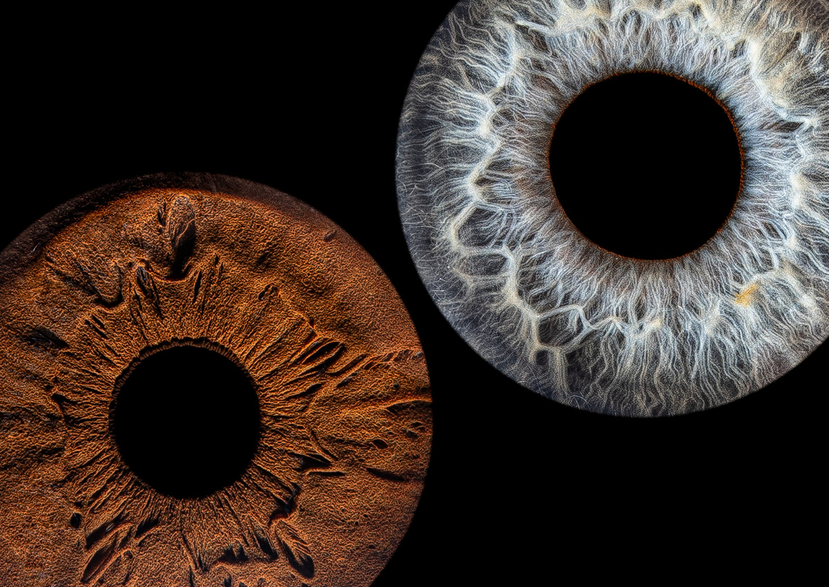 Фотография радужек из студии Your Eyes