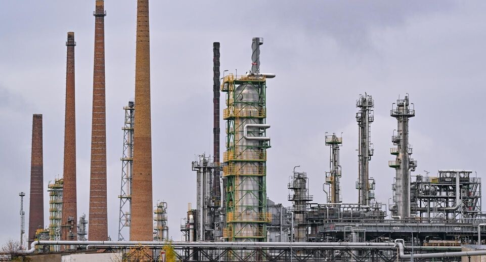    Patrick Pleul/dpa / Global Look Press