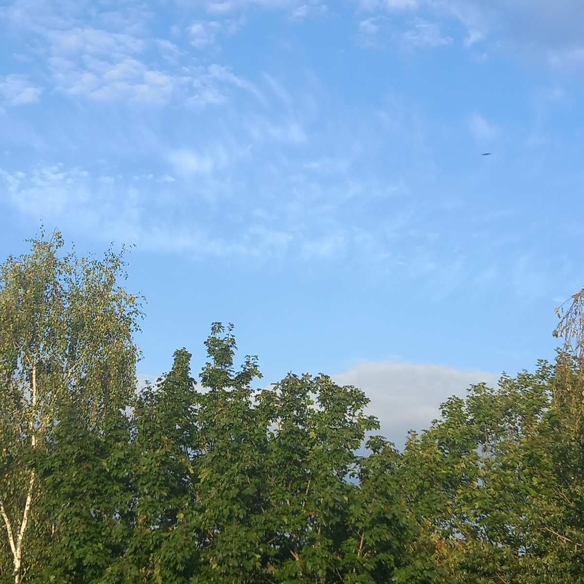 Фото автора канала