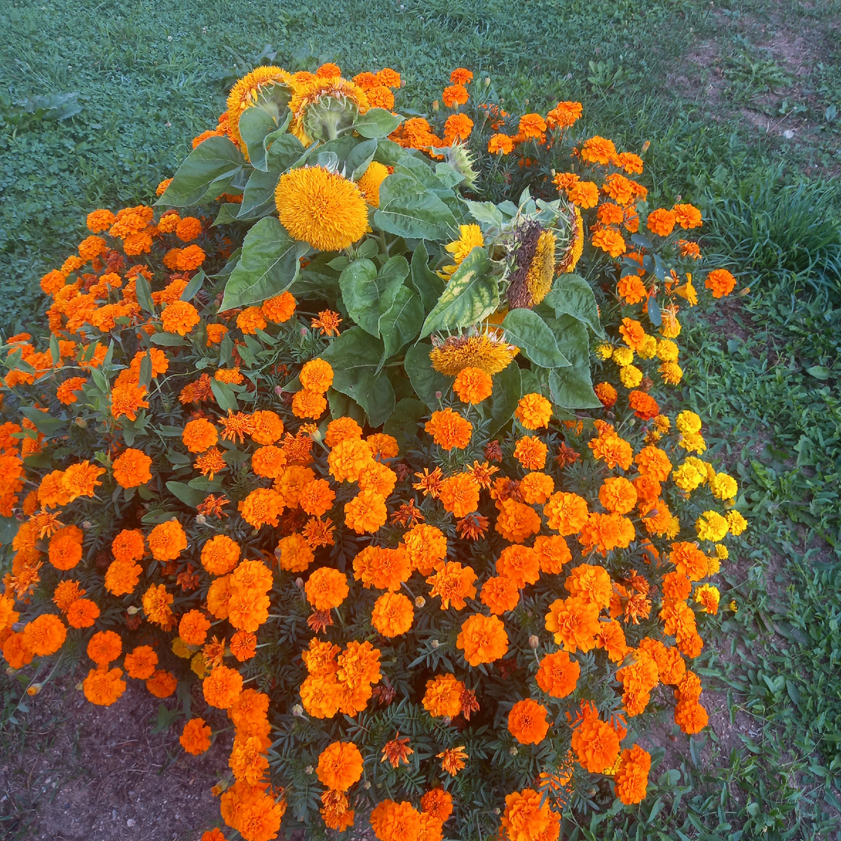 Фото автора канала