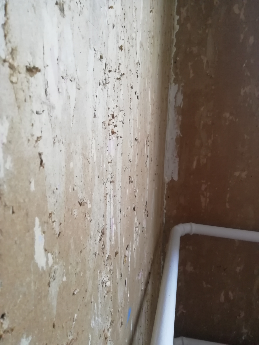 Ширшавая стена