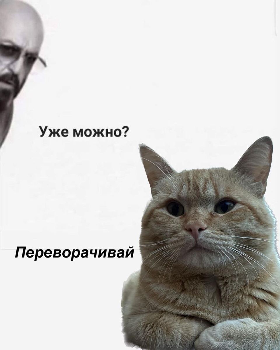 Дождались! 