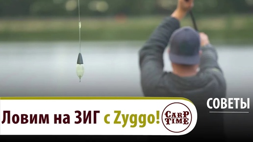 Осень КАРПФИШИНГА пришла! ⚡️ Как ловить КАРПА на ЗИГ с Zyggo? СОВЕТЫ