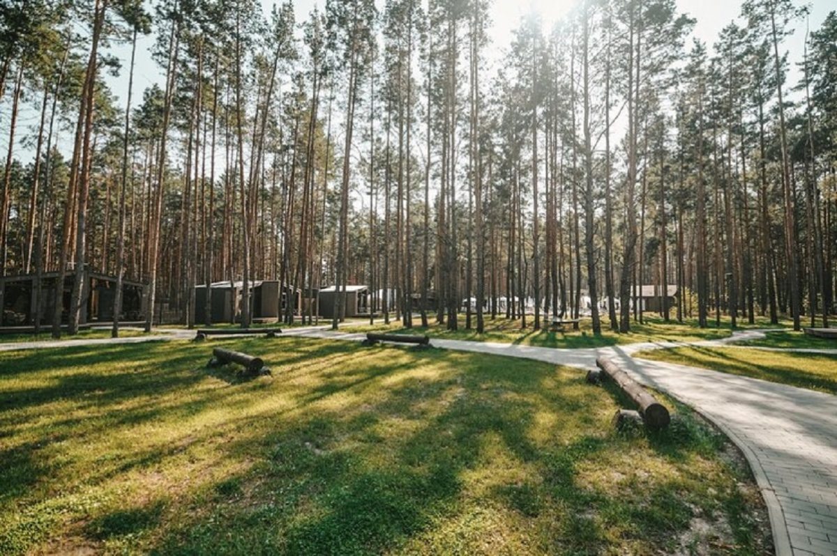    От похода в лес лучше отказаться