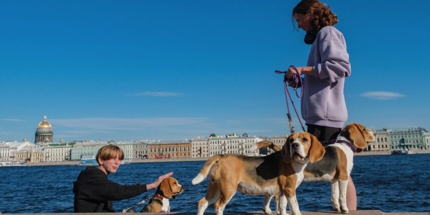    Алёна Бобрович