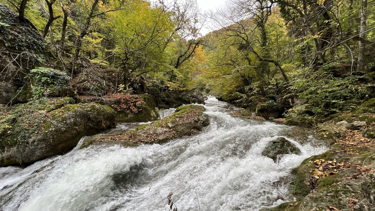 Фото: Радио Крым