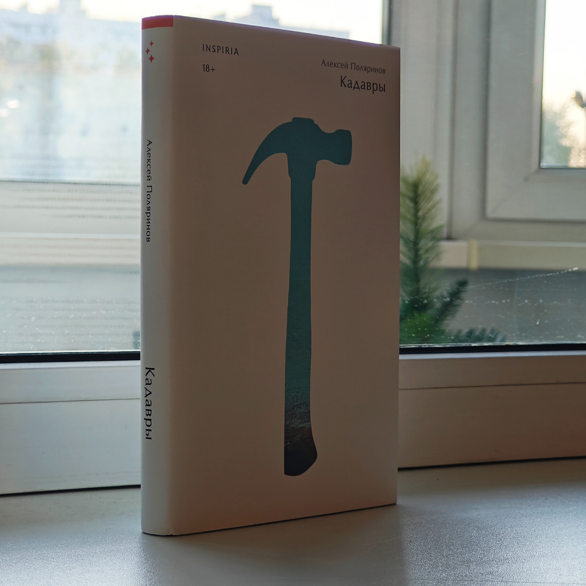 Сама книга упорно старалась избежать моего внимания: сначала Лабиринт отменил мой предзаказ, затем я проворонил её появление на non/fiction. Наконец, мне её подарили, но времени на чтение уже не было. Сам путшествовал по стране