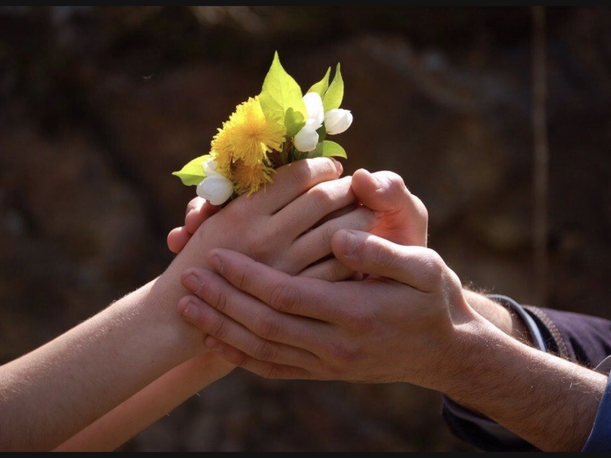 Фото из открытых источников в сети Интернет