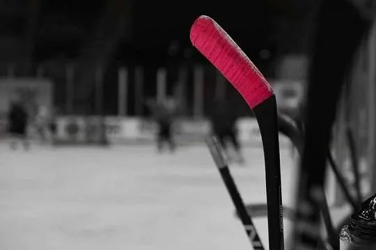 Зачем хоккеистов омского «Авангарда» отправляют в краснодарскую «Гвардию» (Фото: nara.getarchive.net / Similar)
