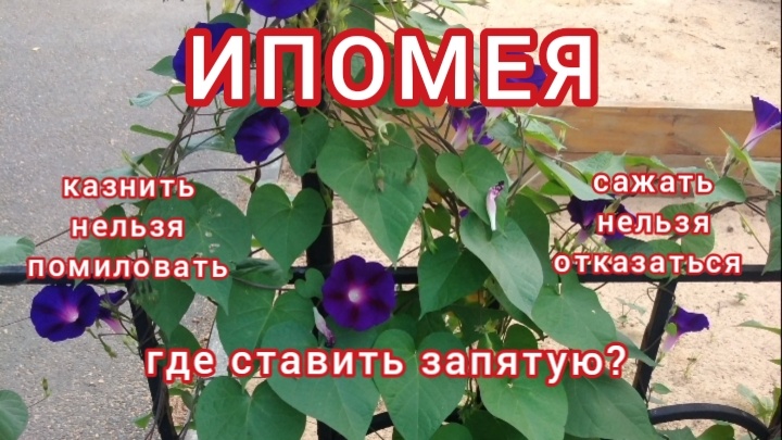 Давайте разбираться вместе