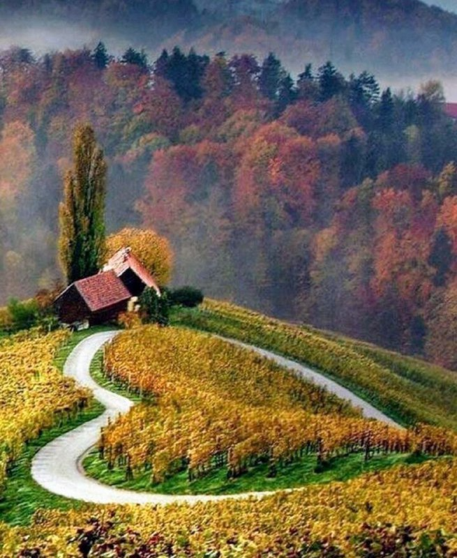 А, может, осень для того и создана в оранжевых тонах, чтобы нам было светло, тепло и вообще...шоколадно!