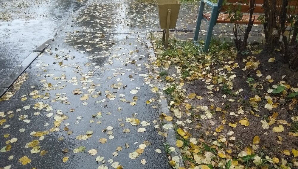    Дожди на этой неделе прогнозируют каждый день. Фото Анны Зубаревой