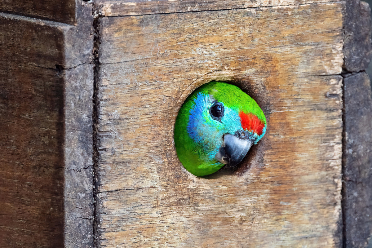 Картинка с бесплатного фотостока https://unsplash.com, автор David Clode