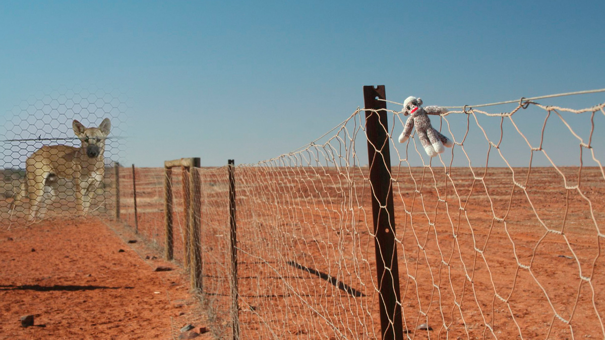 Фото с просторов интернета