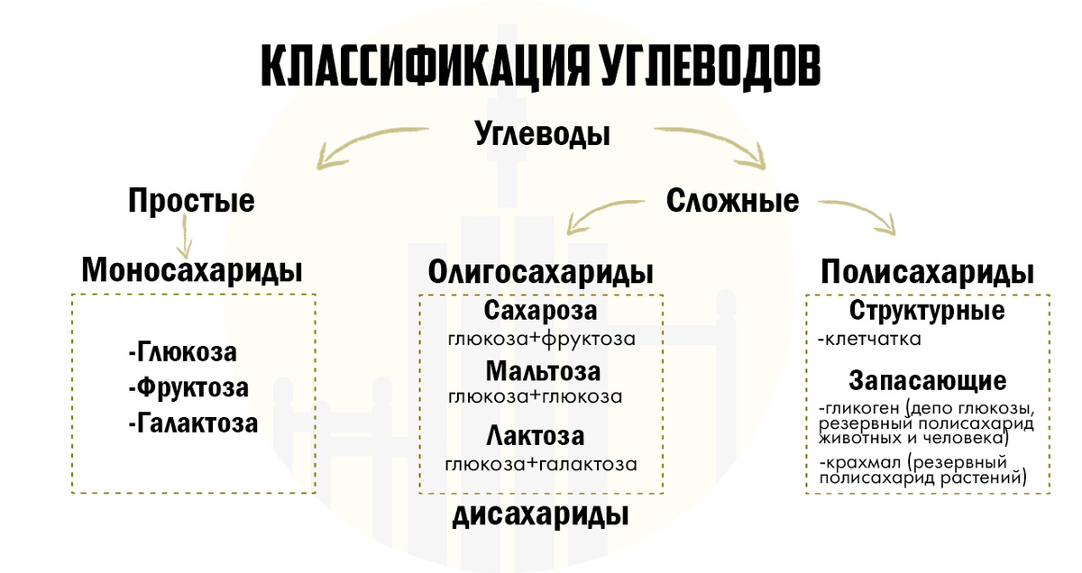 Упрощённая схема классификации углеводов
