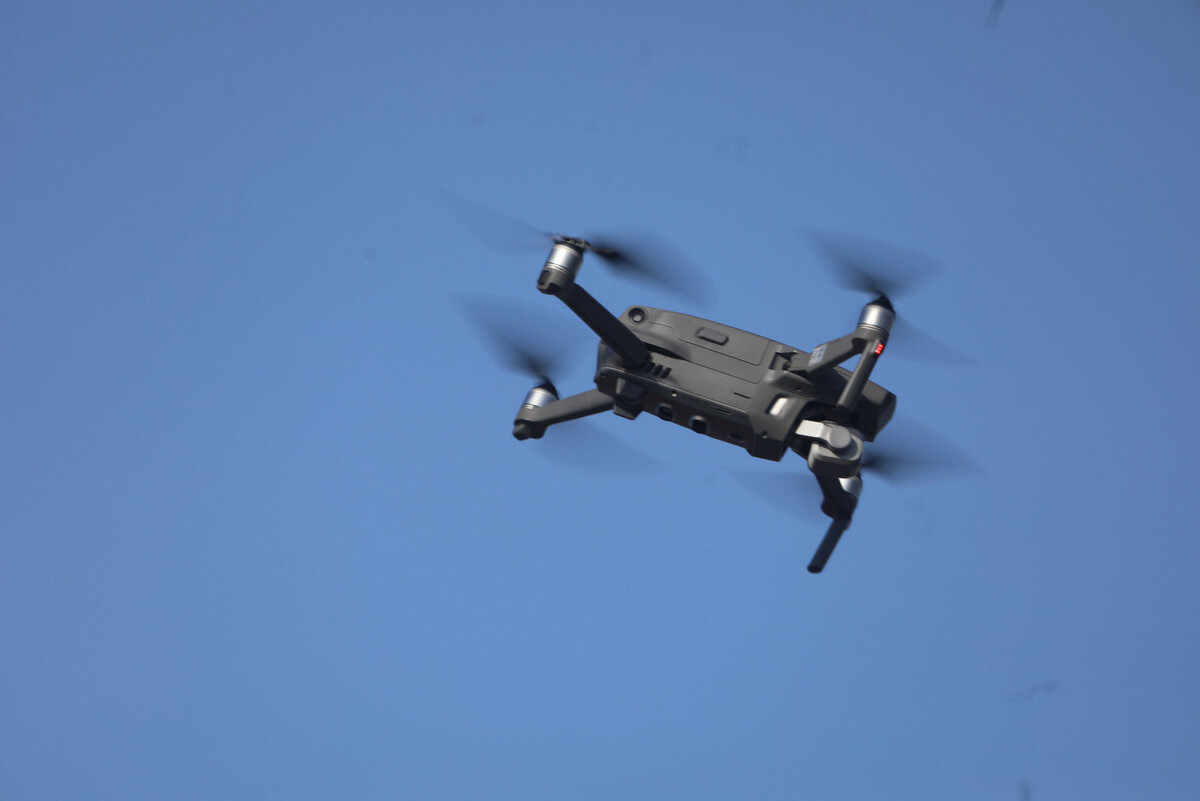    Изображение Роман Пименов / «Петербургский дневник» 