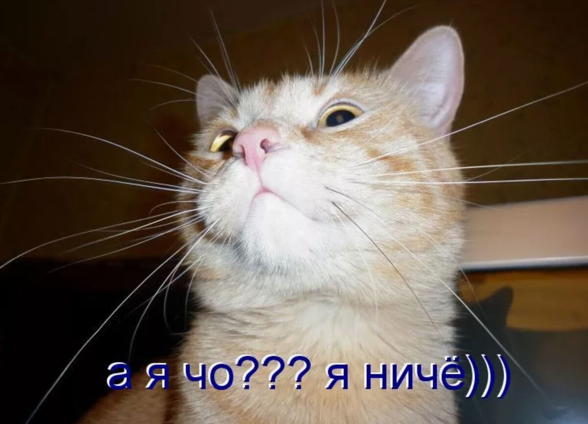 источник Яндекс-картинки