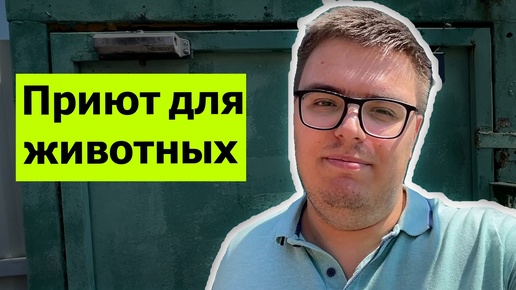 Зачем мы отправились в приют для животных? // Будем ли заводить новую собаку? // Что с марафоном?