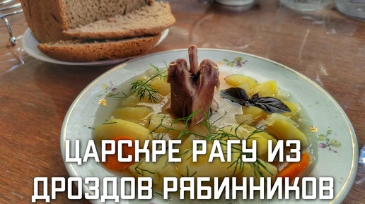 Рецепт ЦАРСКРЕ РАГУ из дроздов рябинников ВКУСНОЕ БЛЮДО