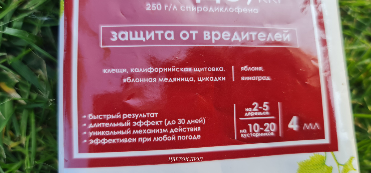 -8-2