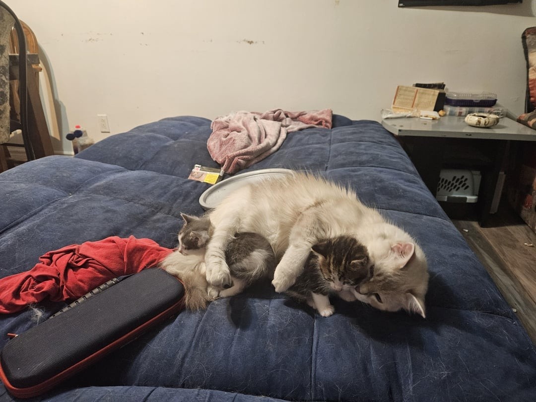 Источник: redd.it