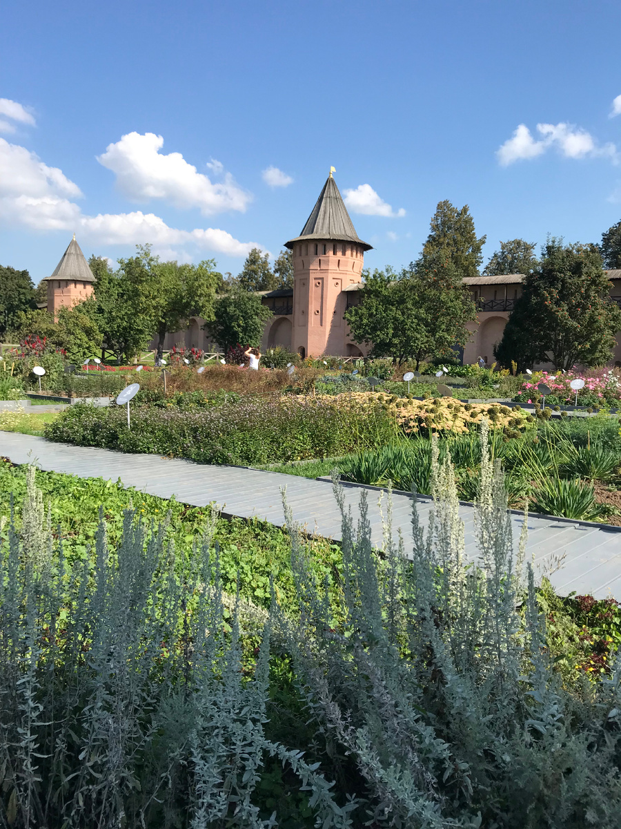 Огород