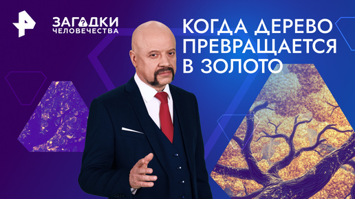 Когда дерево превращается в золото. Посуда с хохломской росписью — Загадки человечества с Олегом Шишкиным