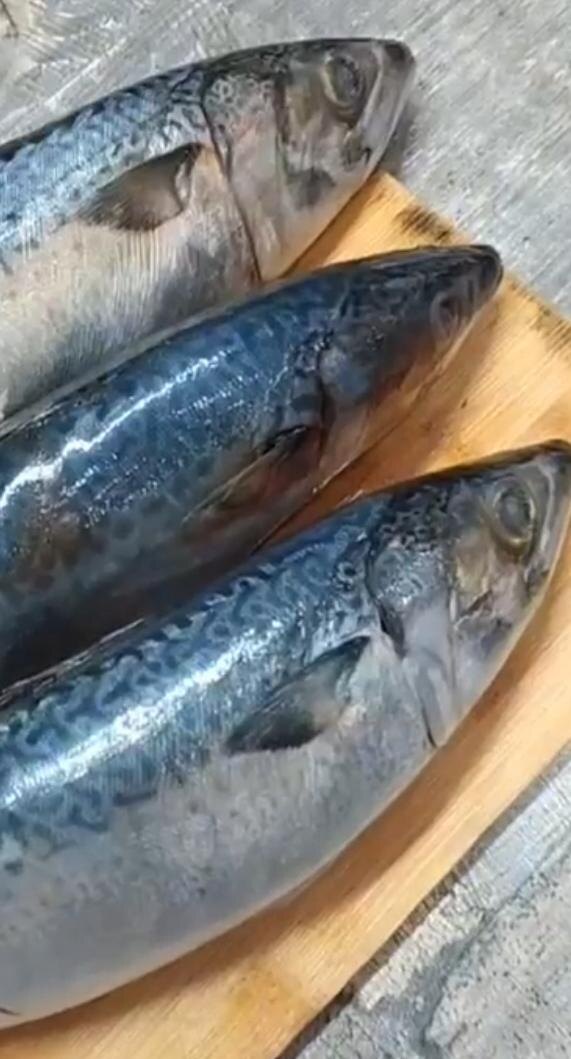 Сначала попробуйте засолить одну рыбку.