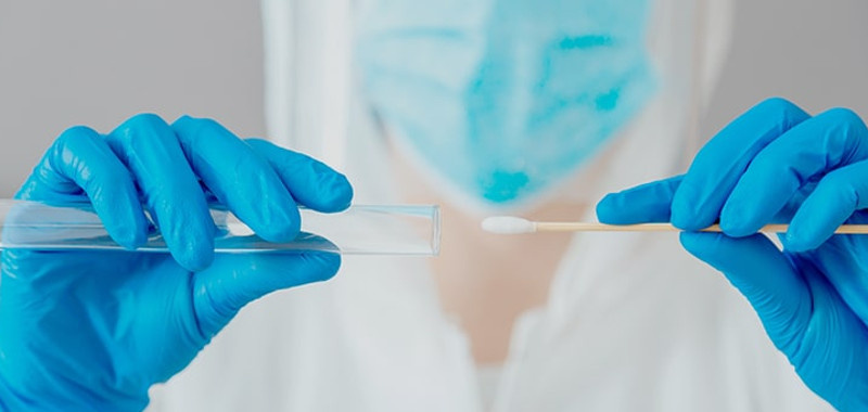    Фото: Здравица