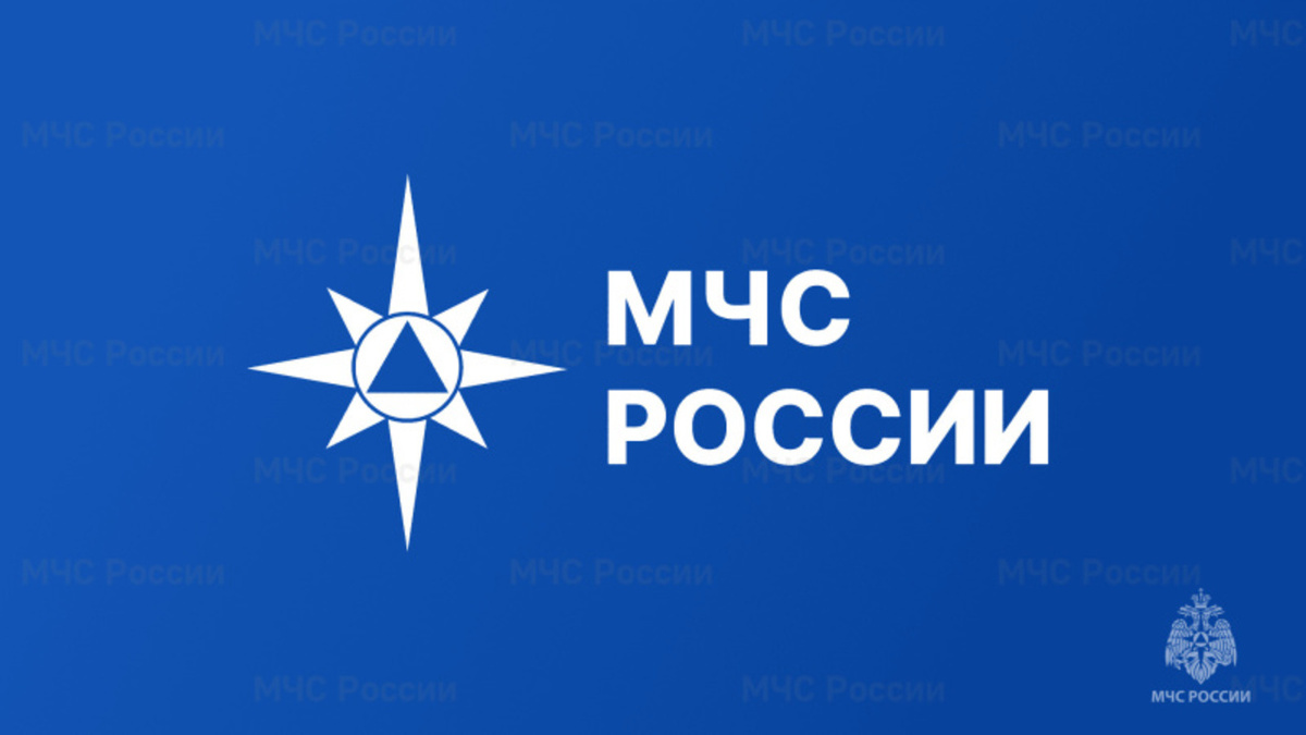    Пиротехники МЧС России уничтожили еще 2 взрывоопасных предмета в Курской области
