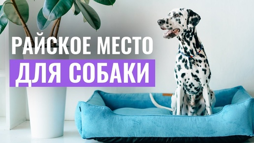 ЛЕЖАНКА, о которой МЕЧТАЕТ КАЖДАЯ СОБАКА! Как выбрать идеальную лежанку для собаки?