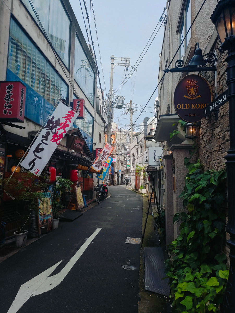 Улица, где сплелись два мира