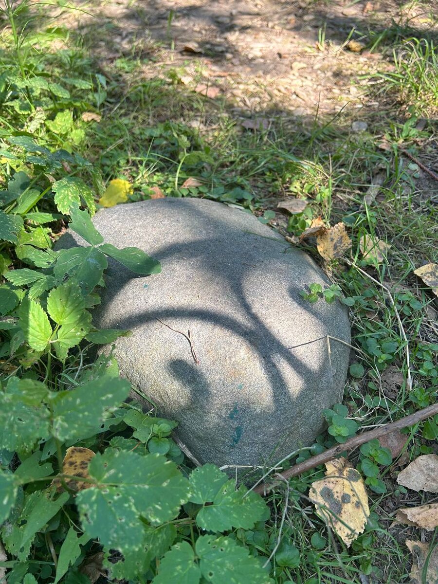 Игры света и тени в моем саду.