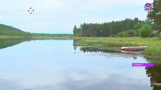 Томмотцы запустили акцию по спасению популяции карасей к 100-летию города