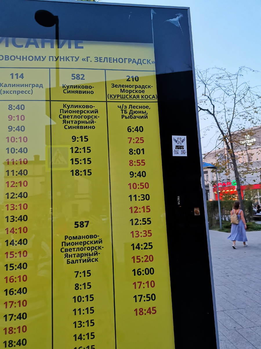 Расписание 210 автобуса на Куршскую Косу