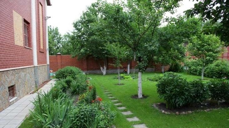 Высаживать деревья на приусадебном участке – мероприятие красивое, но неразумное.