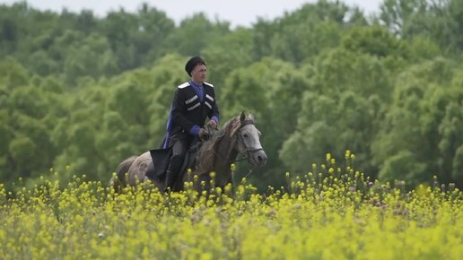 Ветеран боевых действий и политик. Дмитрий Шуваев. Ставропольский край