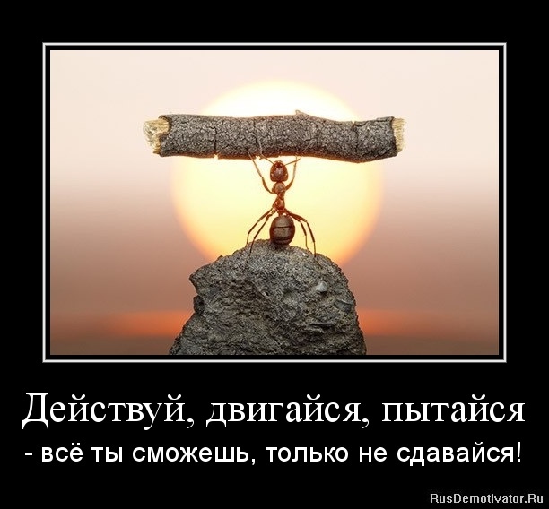 Яндекс картинки. 