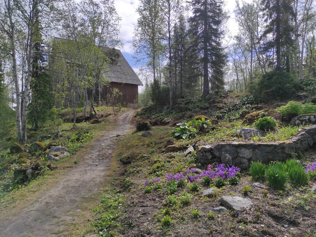 Природа Кольского полуострова